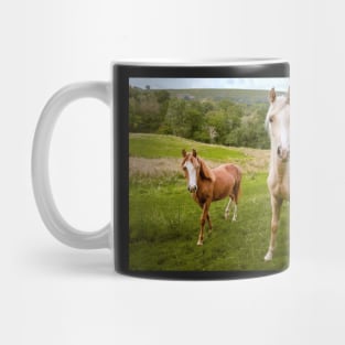 Welsh Ponies Mug